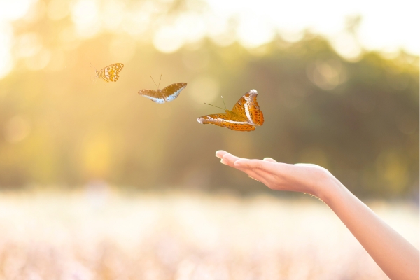 Conociendo nuestras emociones a través de la práctica del Mindfulness